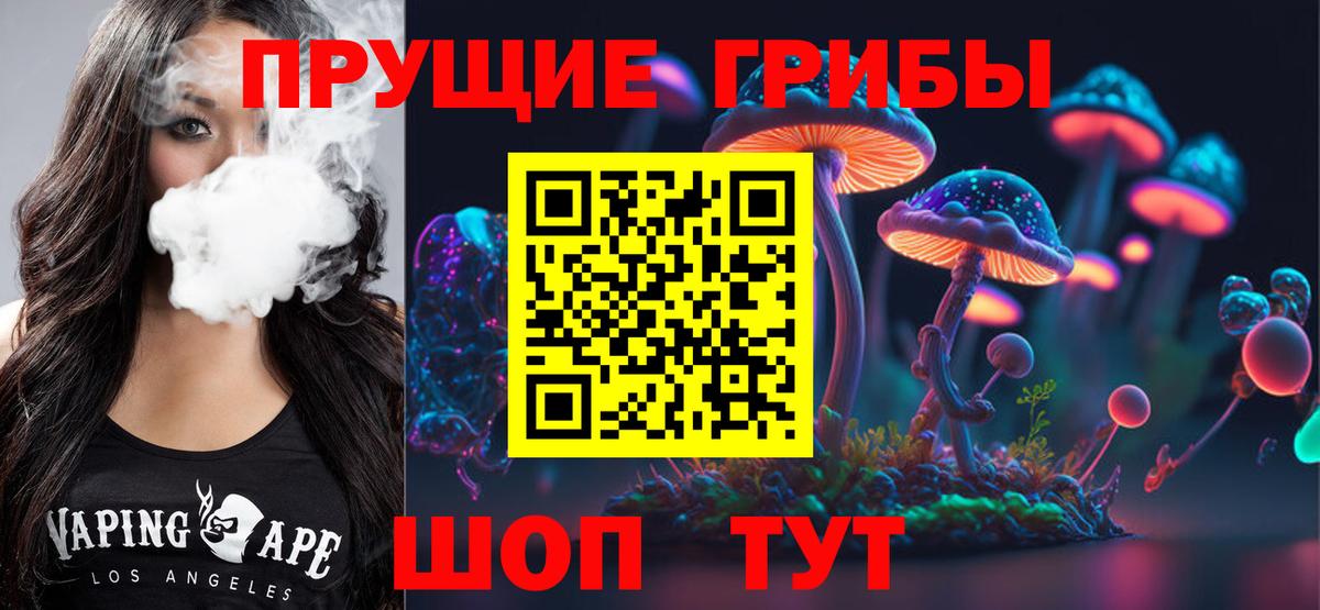 Галлюциногенные грибы Cubensis  купить   Вход с VPN  Жигулёвск  Псилоцибиновые грибы Psilocybe 